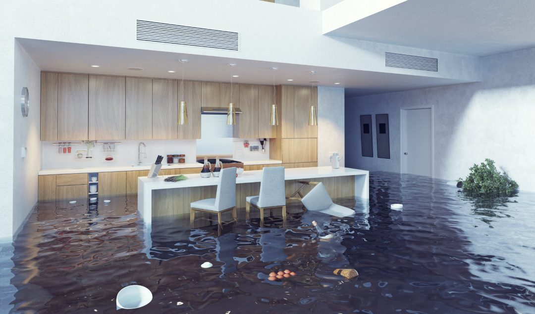 Know Find The Hidden Signs Of Water Damage Certi Dry Restoration Services